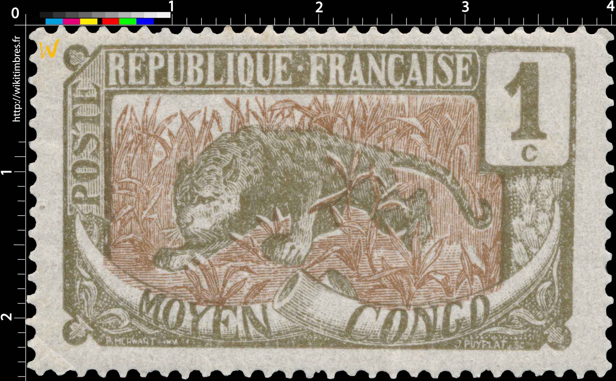 Congo - Panthère