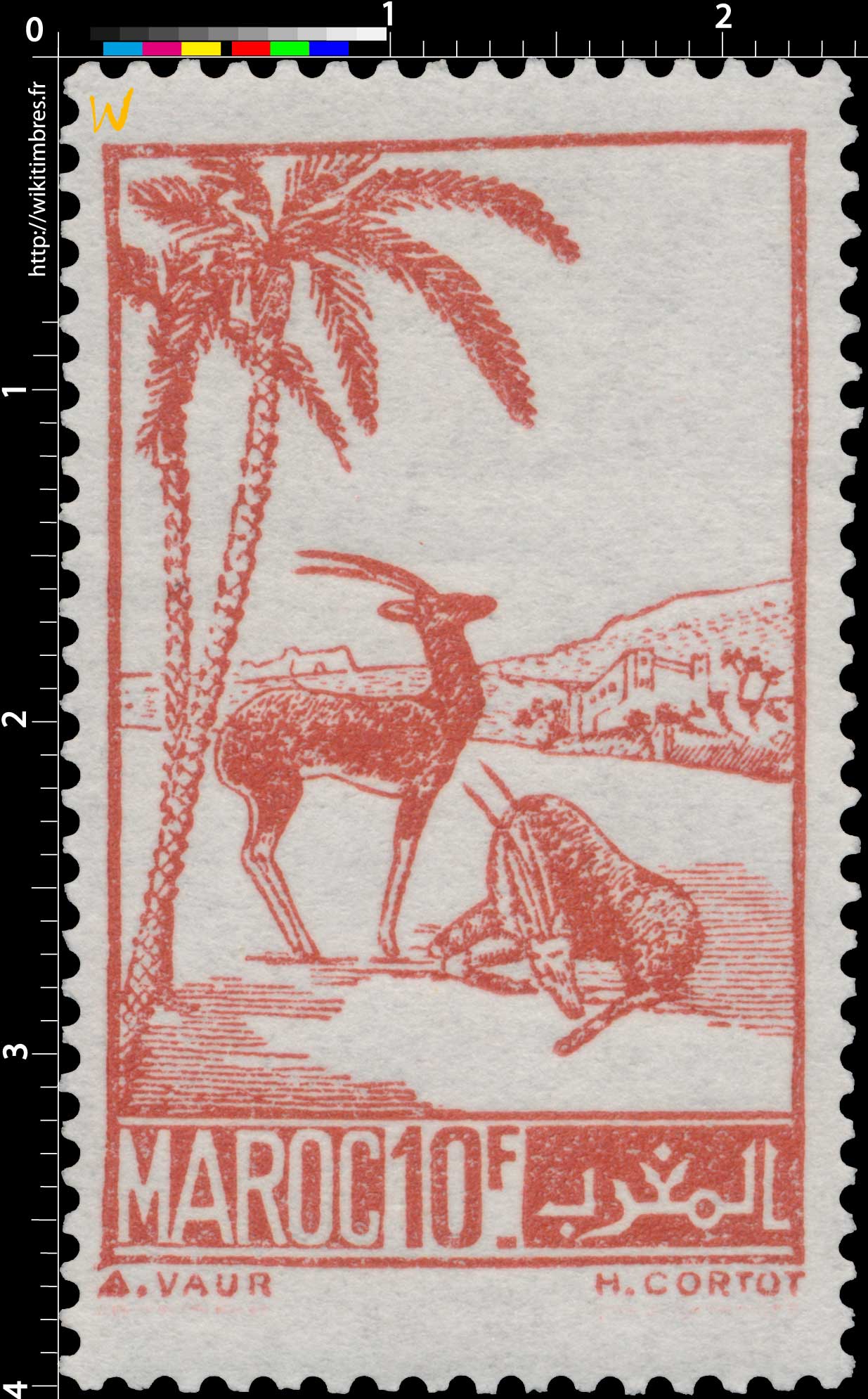 1945 Maroc - Gazelles