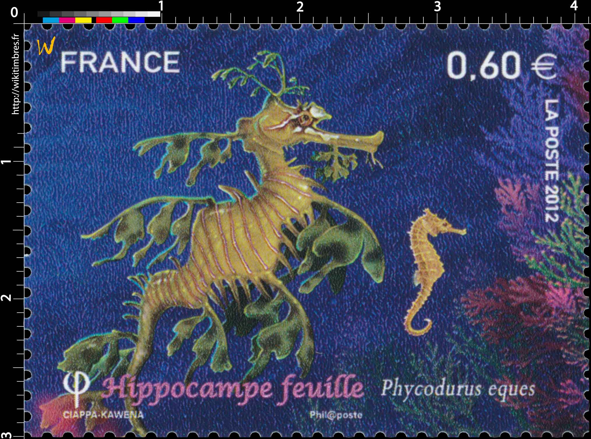 2012 l'hippocampe feuille phycodurus eques