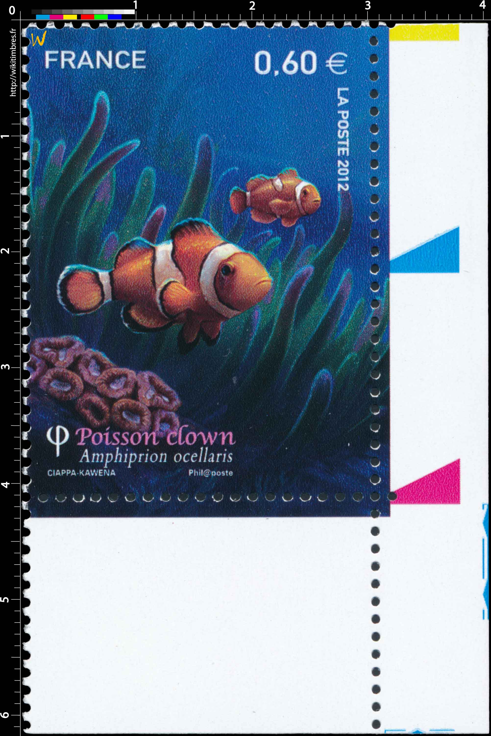 2012 poisson clown amphiprion ocellaris