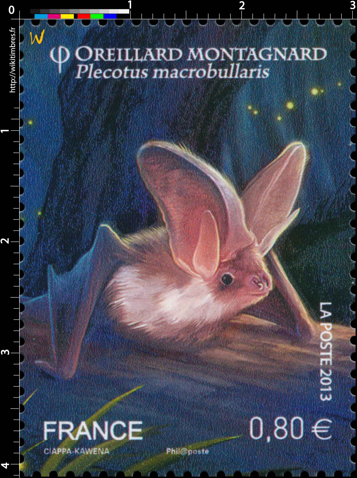 2013 Oreillard Montagnard Plecotus macrobullaris