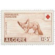 Algérie - Fennec