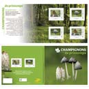 2025 CHAMPIGNONS DE PRINTEMPS