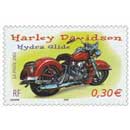 2002 Harley Davidson Hydra Glide