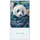 2009 Panda géant