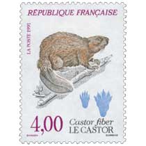 1991 LE CASTOR Castor fiber