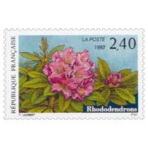 1993 Rhododendrons